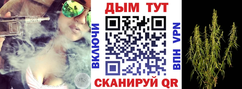 гидра Артёмовск Бошки Шишки THC 21%